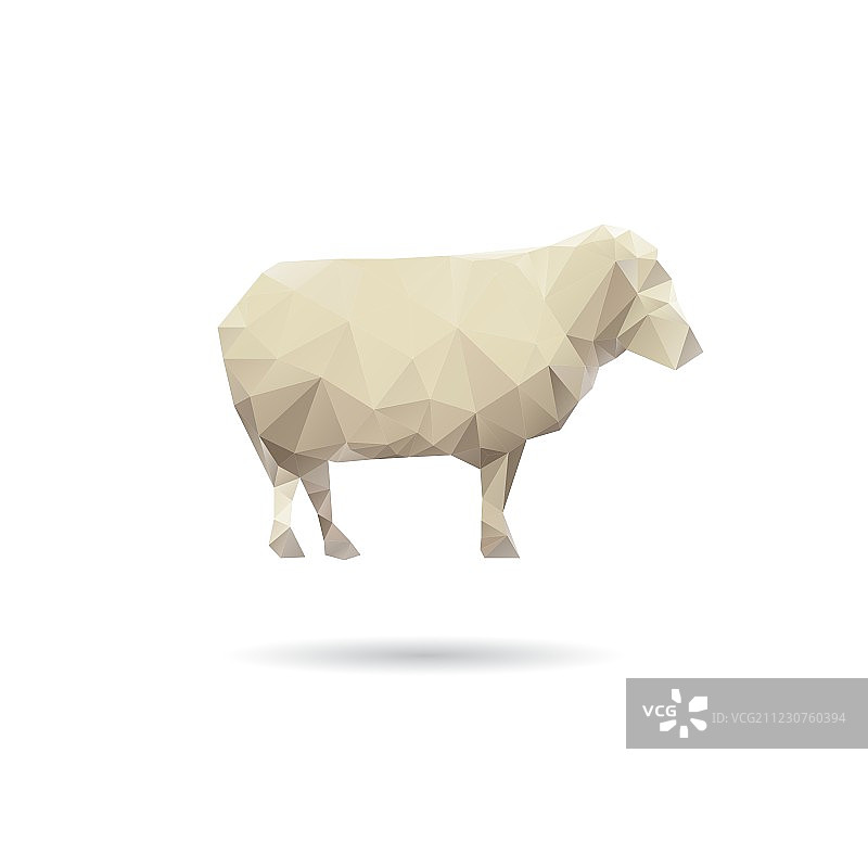 白色背景上的绵羊图片素材