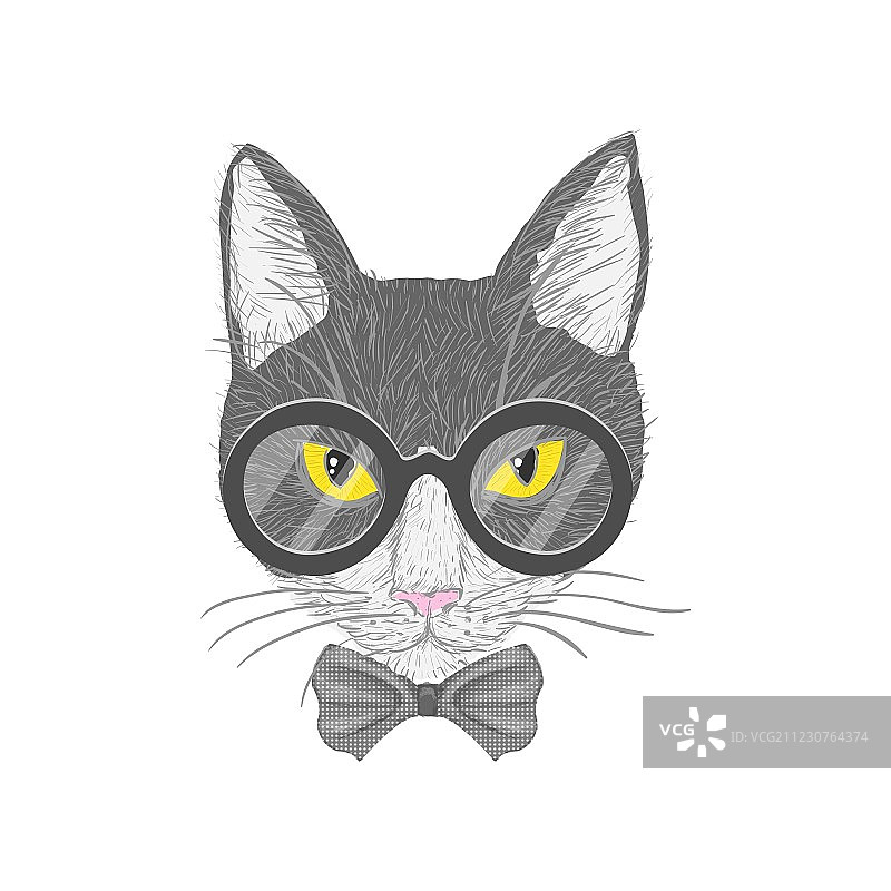 黄眼睛的时尚猫图片素材