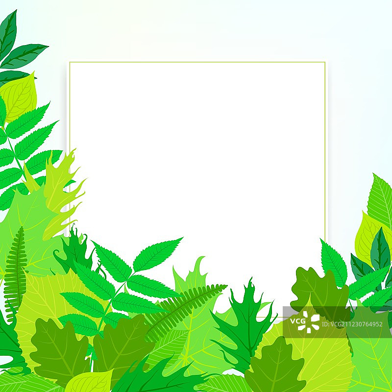 绿色树叶春季卡片背景图片素材