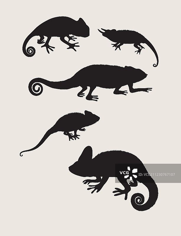 爬行动物剪影图片素材