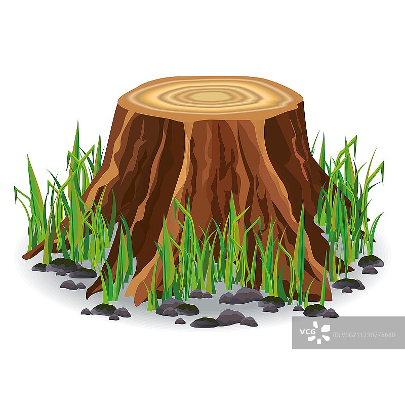 绿草地上的树桩图片素材