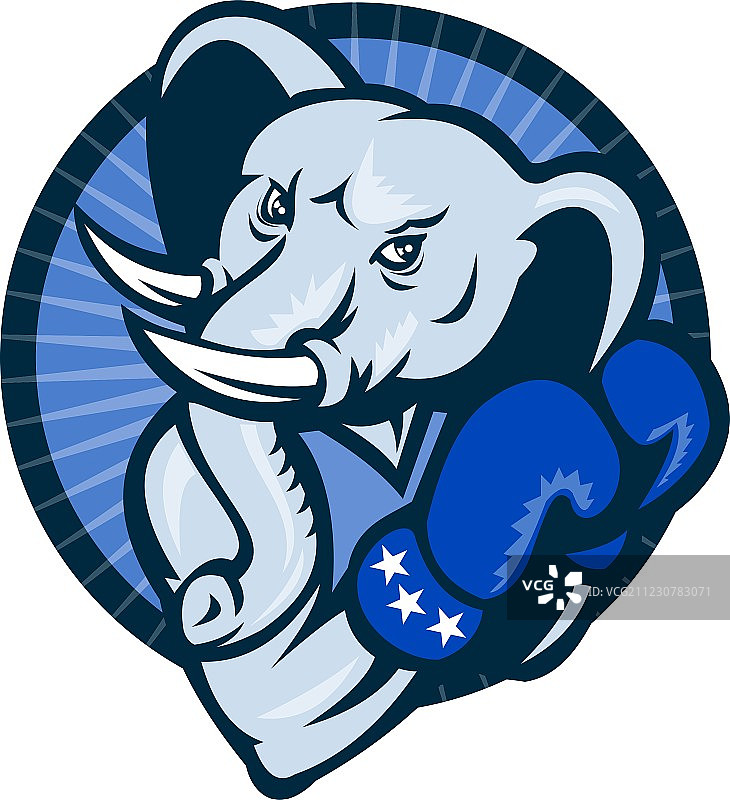 戴拳击手套的大象图片素材