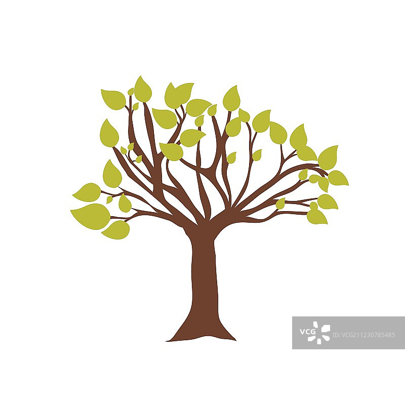 紫金花羽毛图片素材