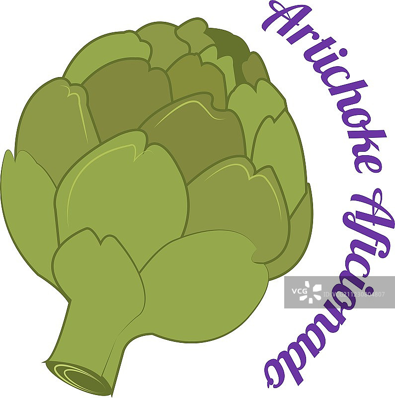 朝鲜蓟爱好者图片素材