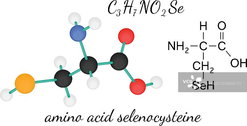 硒代半胱氨酸氨基酸分子C3H7NO2Se图片素材