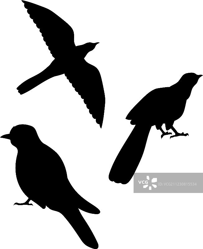 布谷鸟剪影图片素材