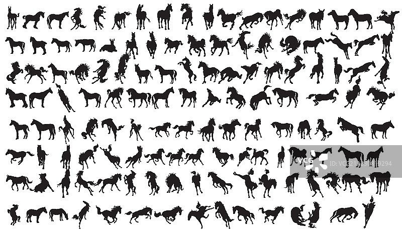 马匹合集图片素材
