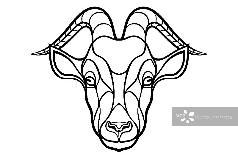 白色背景上的山羊头轮廓着色图片素材
