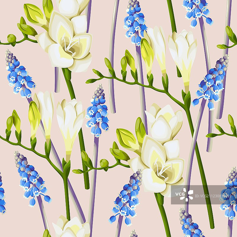 小苍兰与葡萄风信子无缝背景图片素材