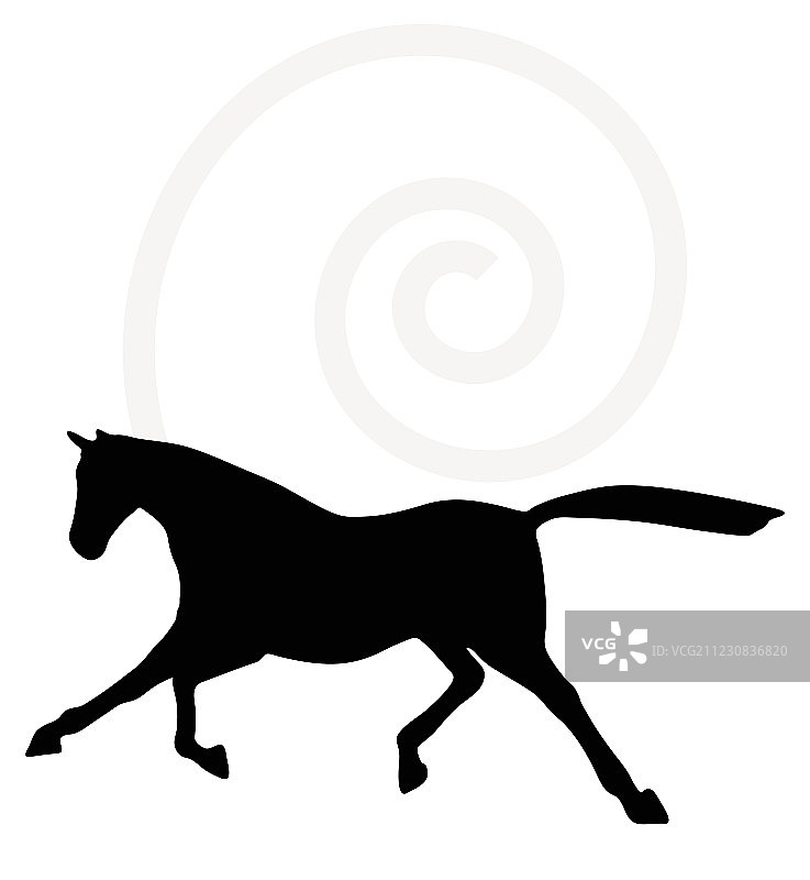 快步小跑姿势的马剪影图片素材