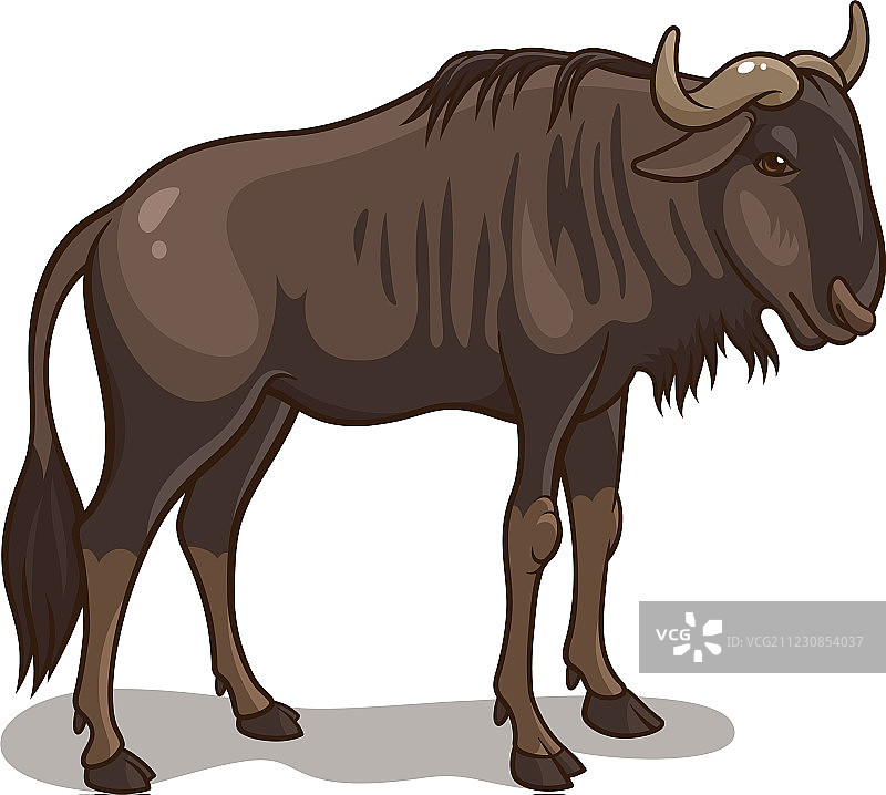 羚羊的一种图片素材