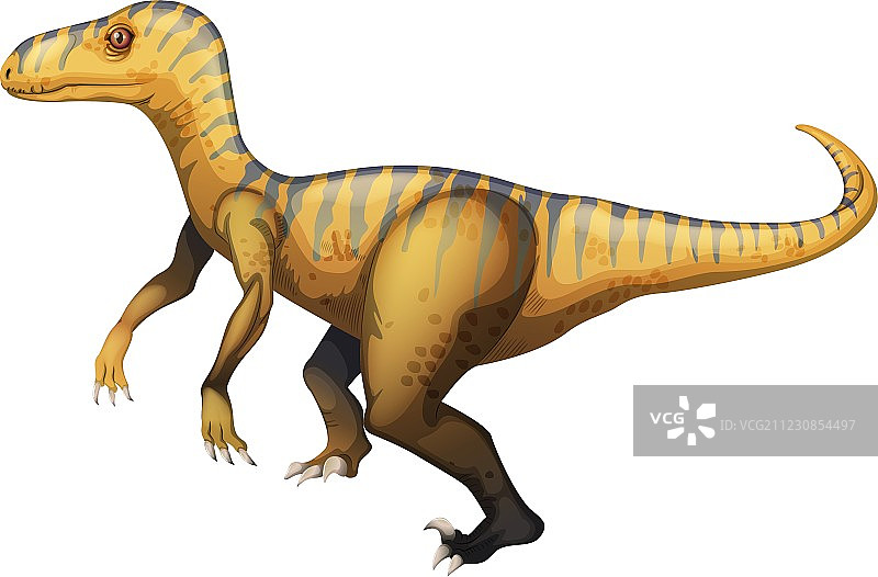 迅猛龙图片素材