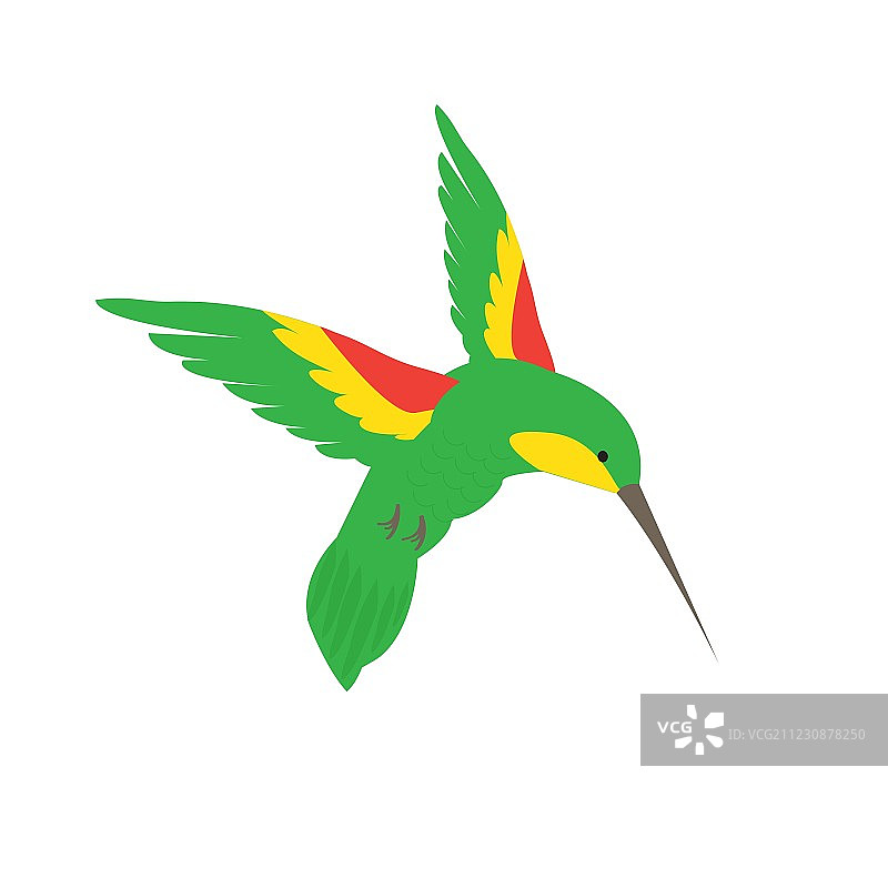 蜂鸟蛾在夏日花丛中采蜜图片素材