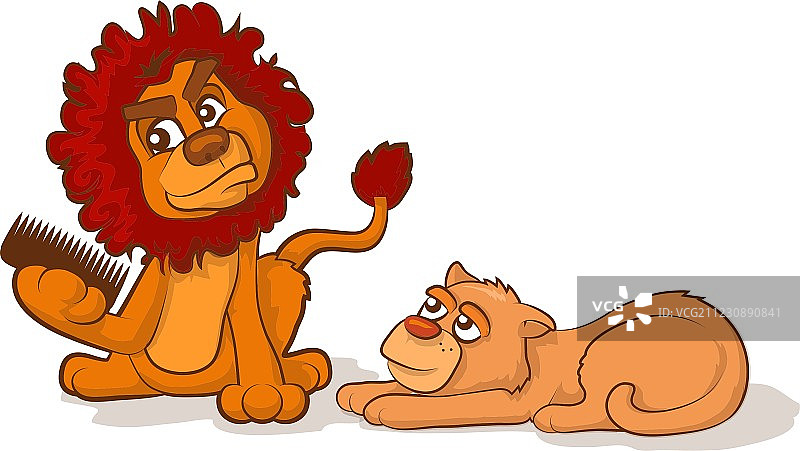 梳理狮鬃图片素材