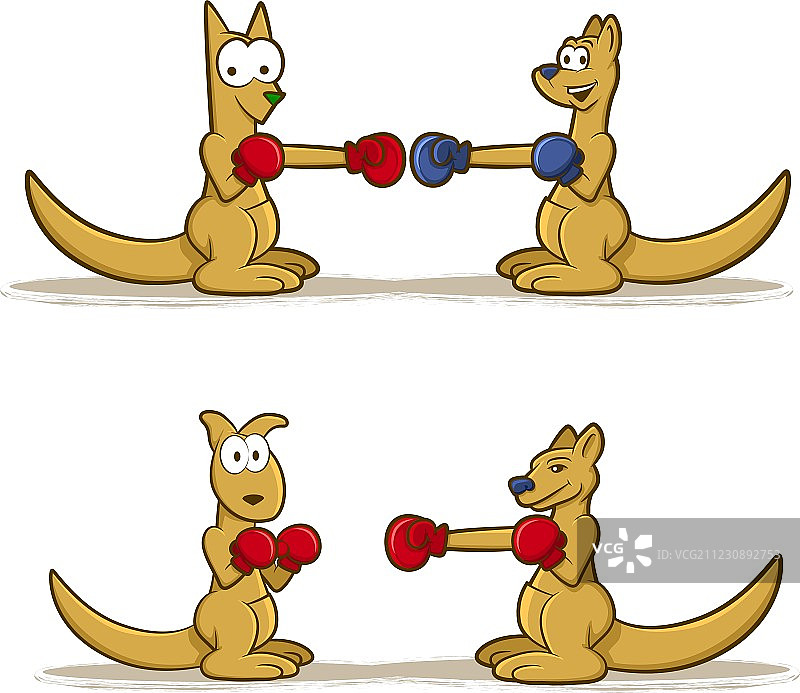 拳击袋鼠套装图片素材