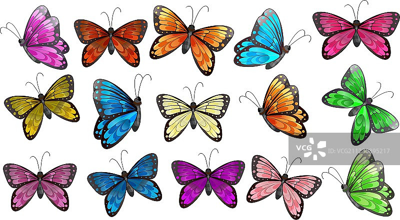 彩色蝴蝶图片素材