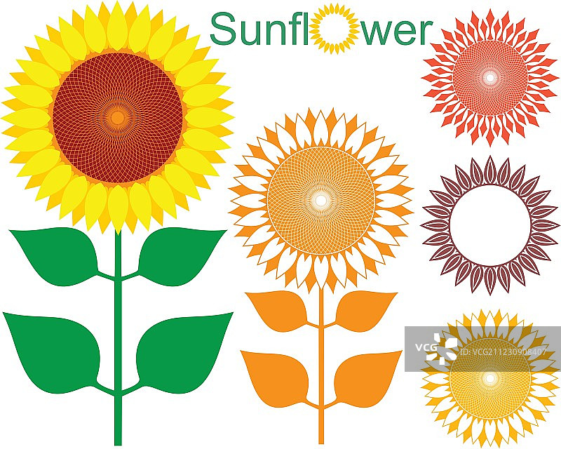 向日葵图片素材