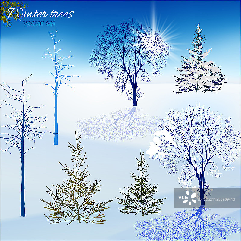 冬季树木合集图片素材