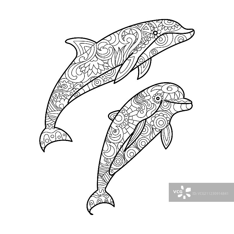 成人海豚涂色书图片素材