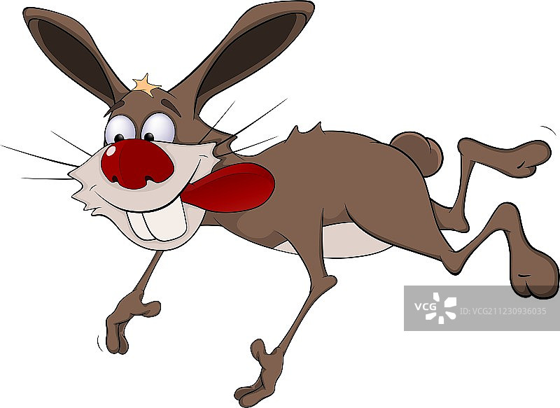 快乐的兔子图片素材