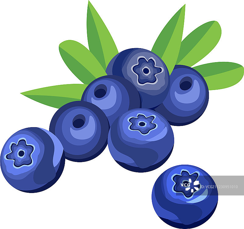 蓝莓和树叶图片素材