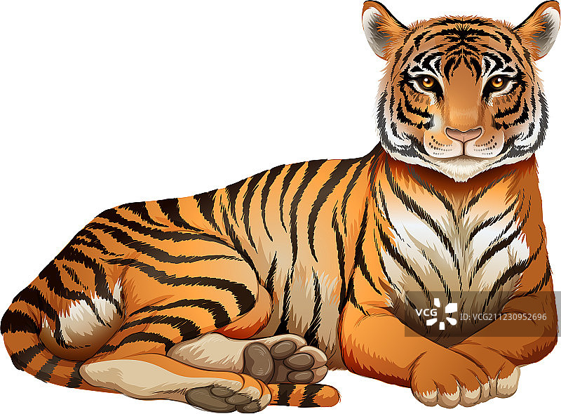 老虎图片素材