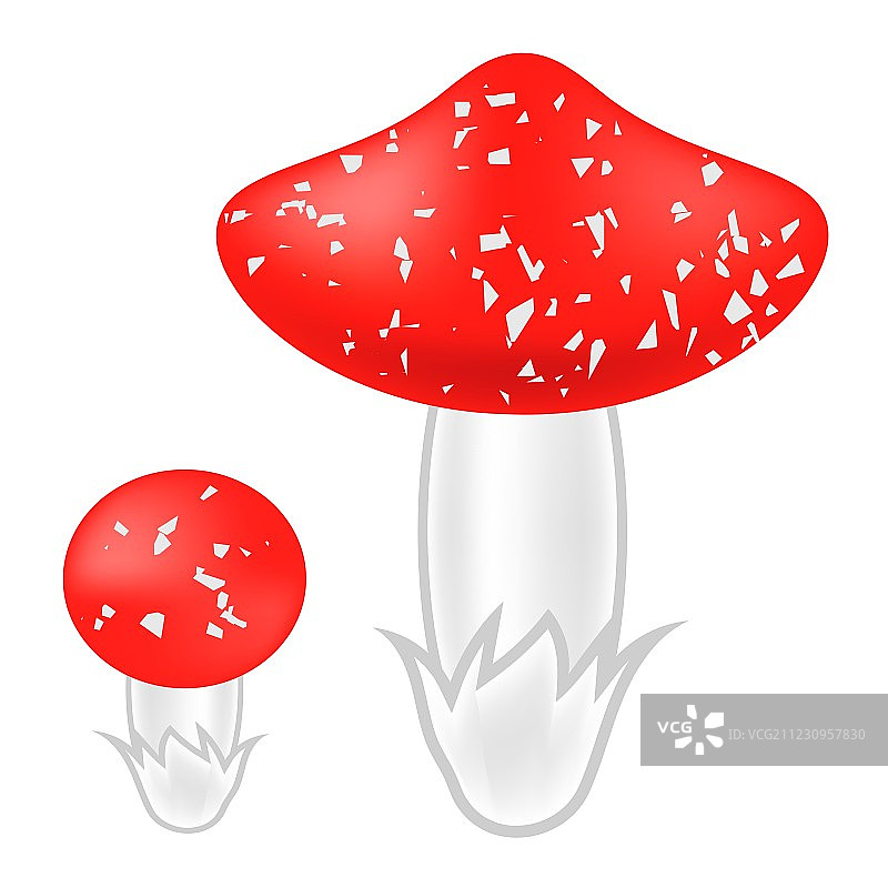 有毒蘑菇图片素材