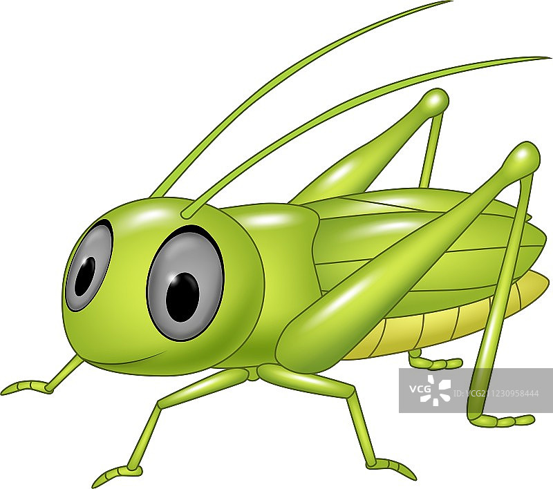 可爱的蚱蜢摆姿势图片素材