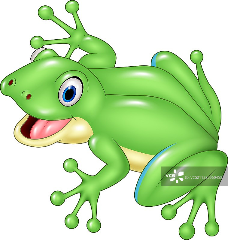 可爱的青蛙，白色背景上隔离图片素材