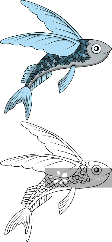 飞鱼设计图片素材