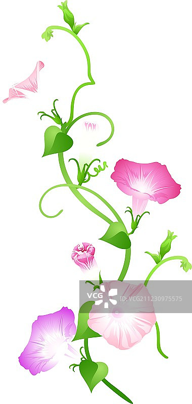 图标的花图片素材