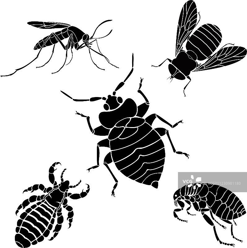 寄生生物图片素材