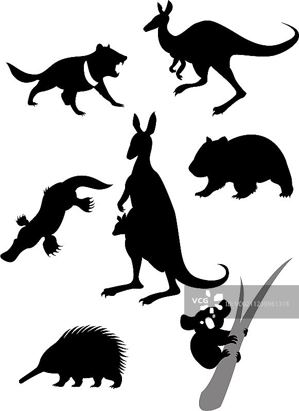 澳大利亚动物剪影图片素材