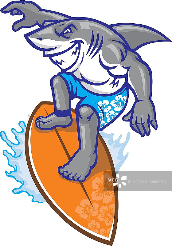 鲨鱼冲浪者图片素材