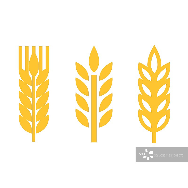 黄色麦穗图标集图片素材