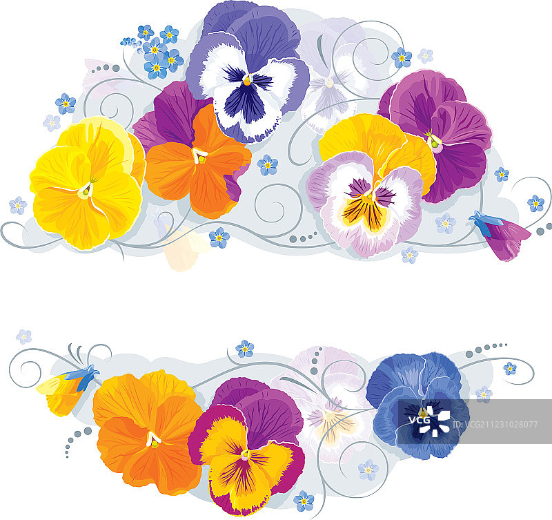 三色堇与勿忘我图片素材