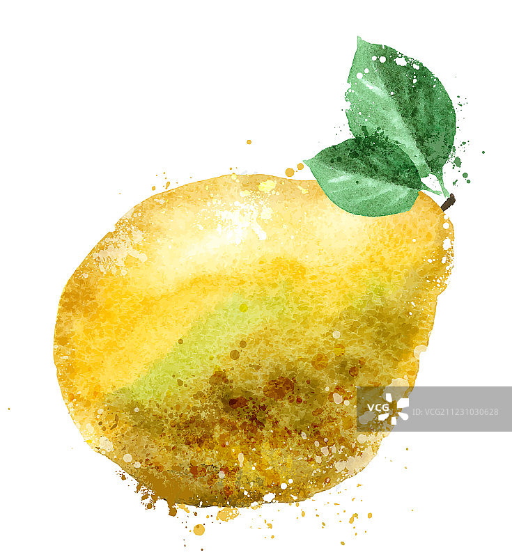 柚子Logo设计模板图片素材