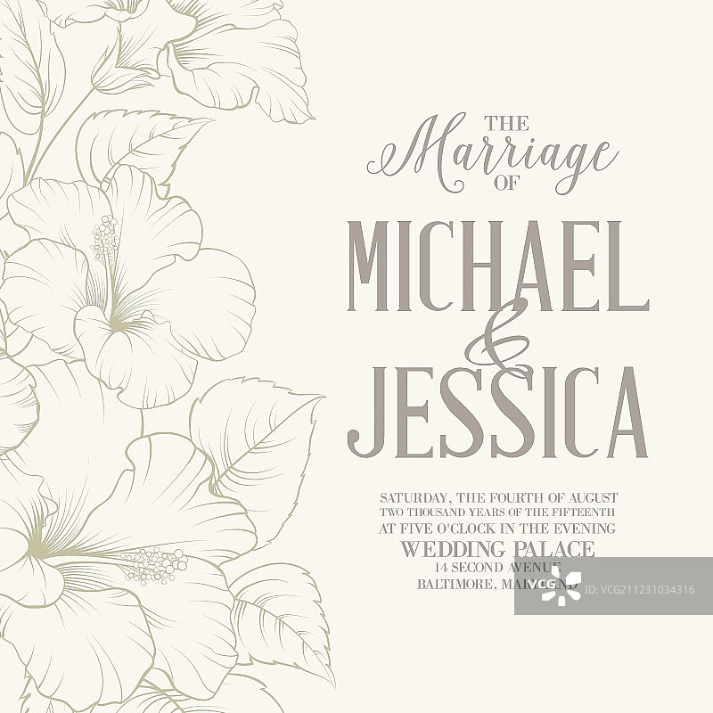 木槿花卡片图片素材