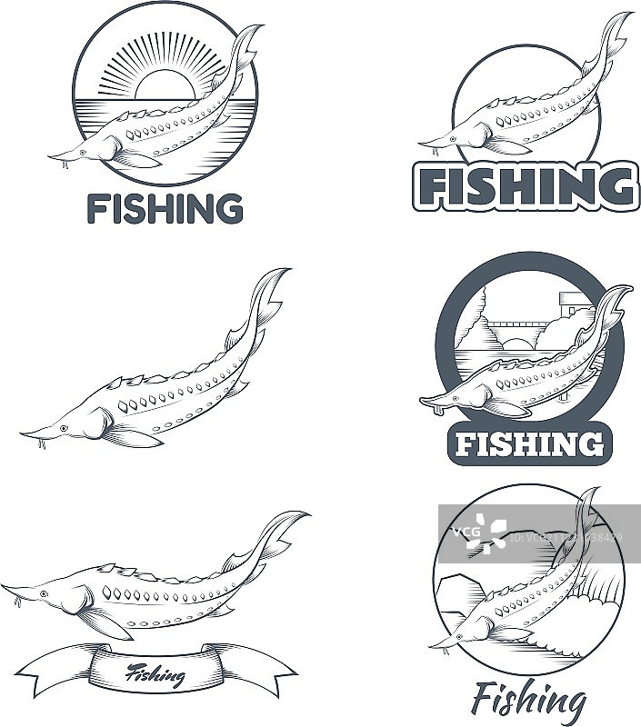 鲟鱼banner素材图片素材