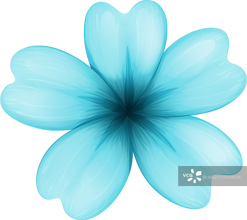 蓝色的五瓣花图片素材