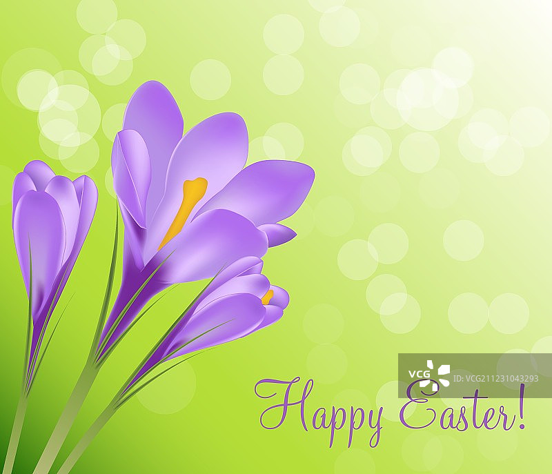 复活节快乐贺卡与番红花图片素材