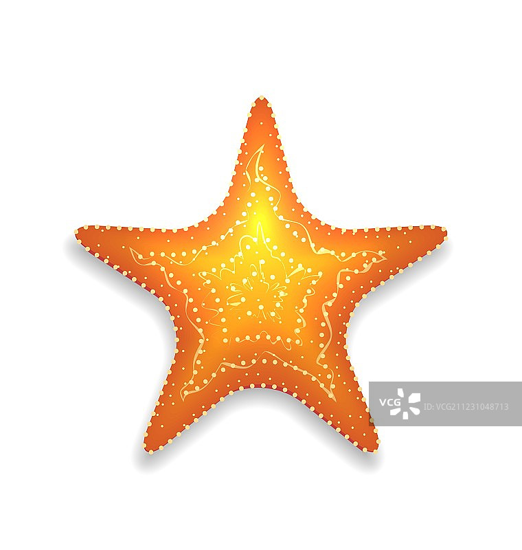 带阴影的橙色海星，白色背景图片素材