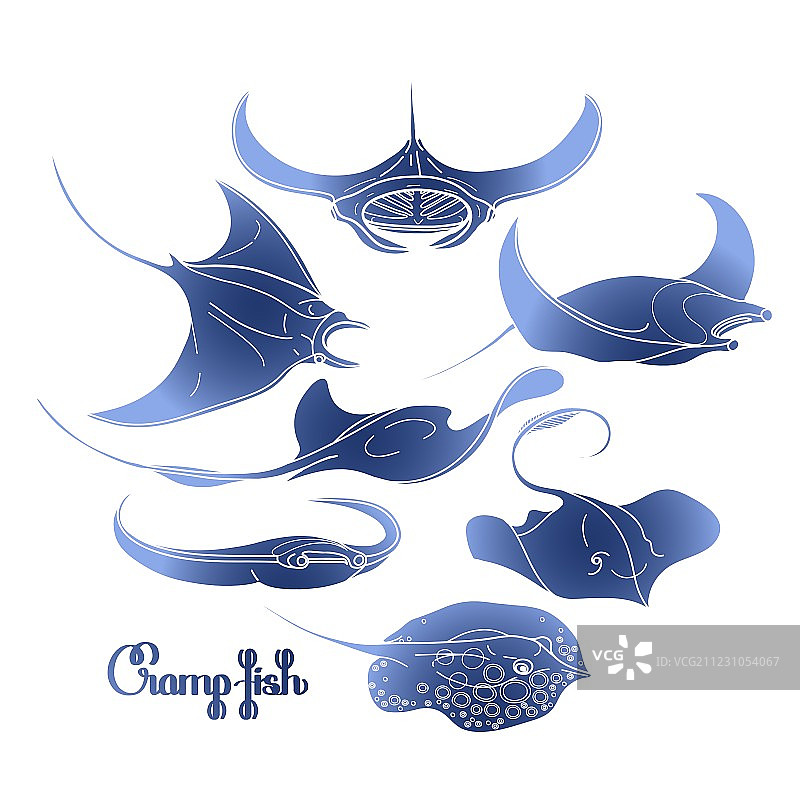 痉挛鱼图案合集图片素材