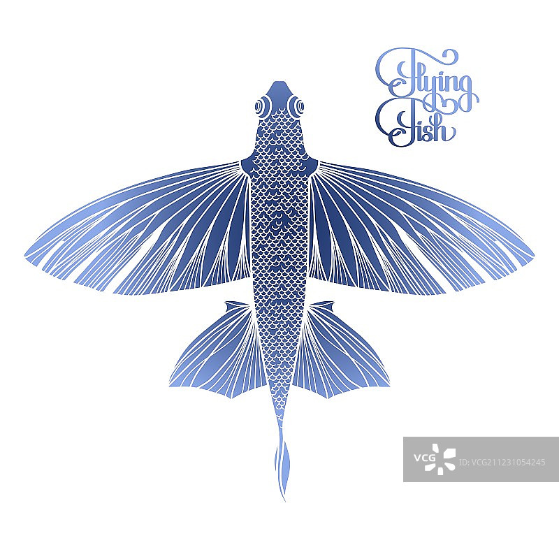 飞行鱼图案图片素材