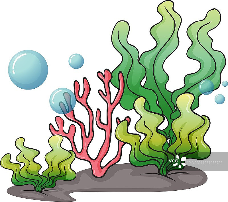 海底海藻图片素材