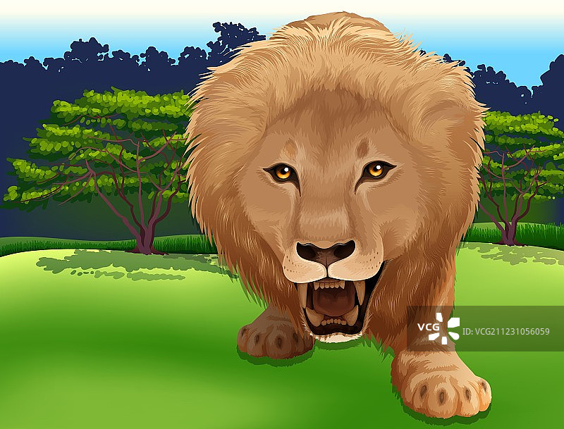 丛林之王图片素材