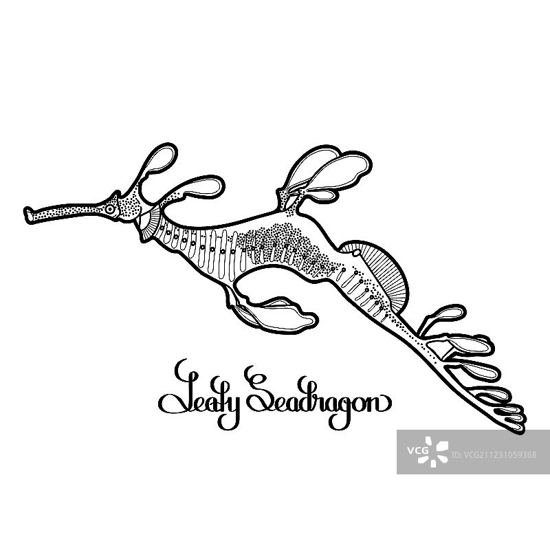 叶海龙图片素材