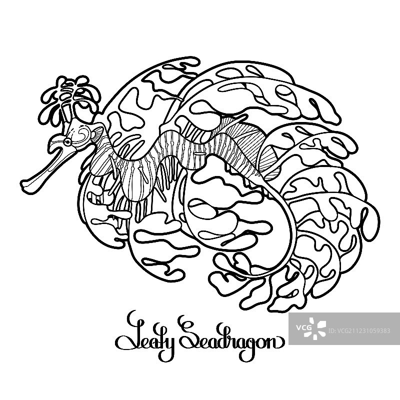 叶海龙图片素材