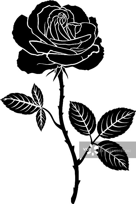 玫瑰叶图片素材