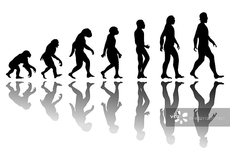 男人的进化轮廓图片素材